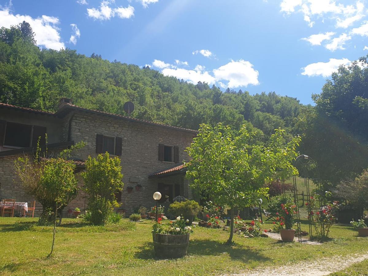 B&B Il Bagarello ปาลาซซูโอโล ซุล เซนิโอ ภายนอก รูปภาพ